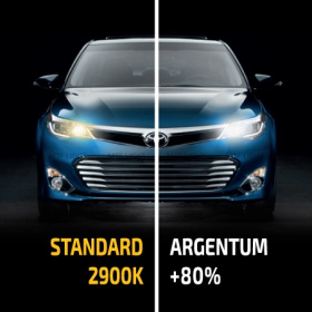 Лампа MTF Light Argentum +80% H7